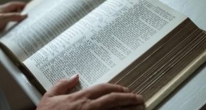 Person reading the bible
