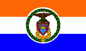 The Bronx Flag